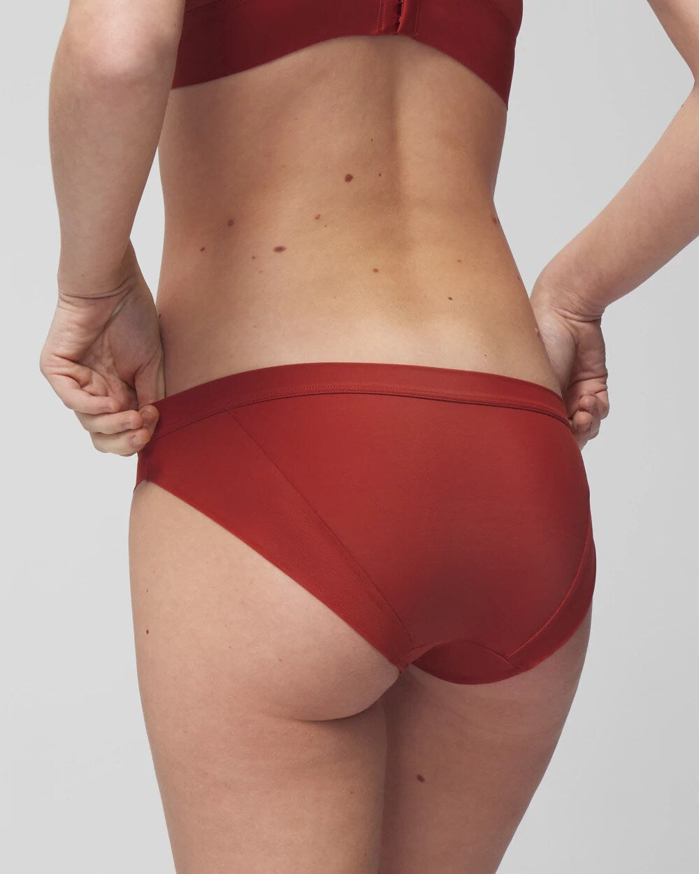 Mesh Bikini Panty - SIERRA REDWOOD | Soma Women